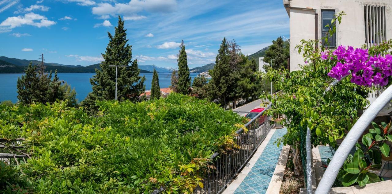 Apartments Tamaris Neum Exteriör bild